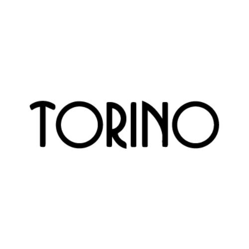 endow-torino-2